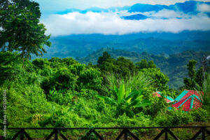 Best tour place in Bangladeh
